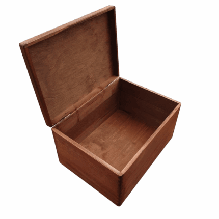 Ahşap Pena Kutusu 1 | Zen Guitar & Picks