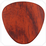 Cocobolo Saucer Ahşap Pena - Görsel 2