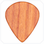 Pau Rosa Jazz Ahşap Pena - Görsel 2