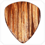 Wild Palm Fatty Ahşap Pena