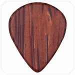 Wild Palm Jazz Ahşap Pena