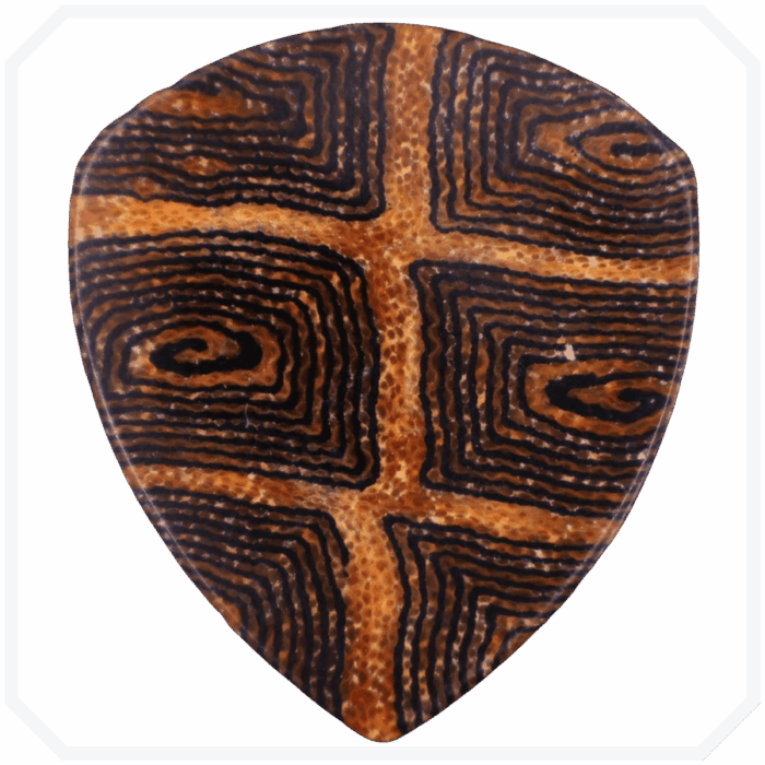 Turtle Fatty Mikarta Pena - Görsel 2