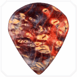 Asgart Jazz Stabilize Ahşap Pena