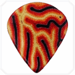 Mordor Jazz Mikarta Pena - Görsel 2