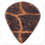 Turtle Jazz Mikarta Pena