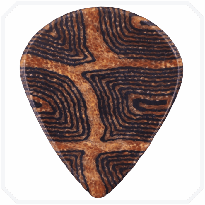 Turtle Jazz Mikarta Pena - Görsel 2