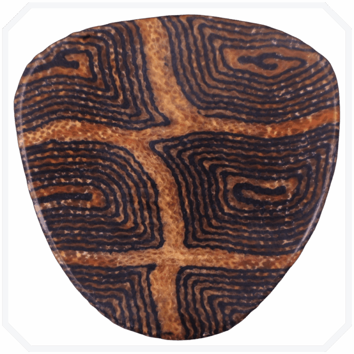 Turtle Saucer Mikarta Pena - Görsel 2