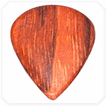 Canadian Rosewood Jazz Ahşap Pena