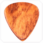 Canadian Rosewood Standart Ahşap Pena