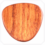 Canadian Rosewood Saucer Ahşap Pena