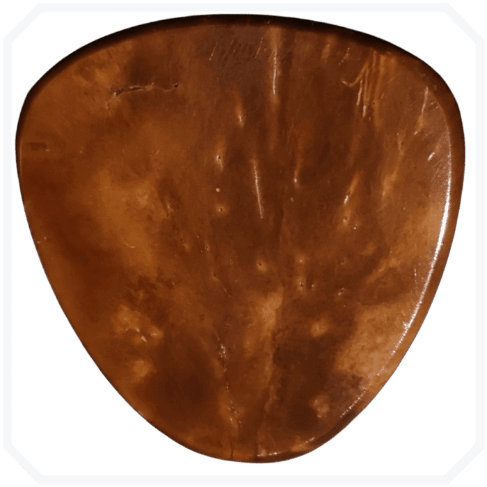 Coquilla Nutwood Saucer Ahşap Pena