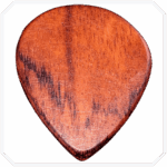 Patagonya Rosewood FatJazz Ahşap Pena