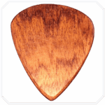 Patagonya Rosewood Standart Ahşap Pena