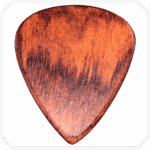 Patagonya Rosewood Standart Ahşap Pena