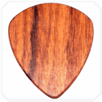 Patagonya Rosewood Fatty Ahşap Pena