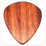 Patagonya Rosewood Fatty Ahşap Pena
