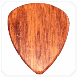 Patagonya Rosewood Flow Ahşap Pena